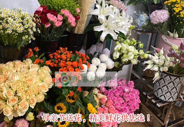 2024合肥长丰县母亲节送花,合肥长丰县精美鲜花供您选!